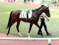 ����å��ǳ��������ɽ�����ޤ�