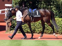 ����å��ǳ��������ɽ�����ޤ�