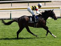 ����å��ǳ��������ɽ�����ޤ�