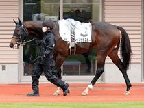 ����å��ǳ��������ɽ�����ޤ�