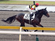 ����å��ǳ��������ɽ�����ޤ�