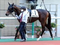 ����å��ǳ��������ɽ�����ޤ�