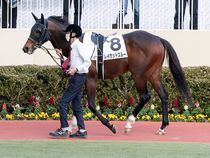 ����å��ǳ��������ɽ�����ޤ�