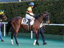 ����å��ǳ��������ɽ�����ޤ�