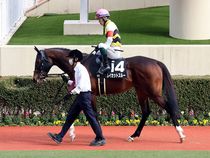 ����å��ǳ��������ɽ�����ޤ�