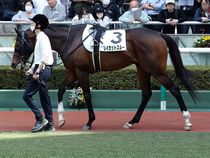 ����å��ǳ��������ɽ�����ޤ�