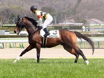 ����å��ǳ��������ɽ�����ޤ�