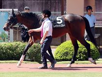 ����å��ǳ��������ɽ�����ޤ�