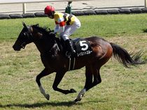 ����å��ǳ��������ɽ�����ޤ�