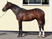 ����å��ǳ��������ɽ�����ޤ�