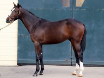 ����å��ǳ��������ɽ�����ޤ�