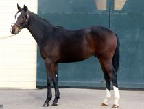 ����å��ǳ��������ɽ�����ޤ�