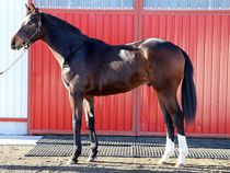 ����å��ǳ��������ɽ�����ޤ�