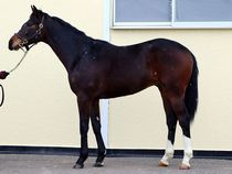 ����å��ǳ��������ɽ�����ޤ�