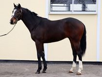 ����å��ǳ��������ɽ�����ޤ�