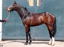 ����å��ǳ��������ɽ�����ޤ�