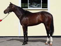 ����å��ǳ��������ɽ�����ޤ�