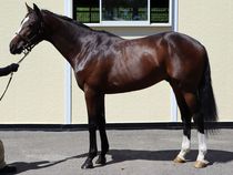 ����å��ǳ��������ɽ�����ޤ�