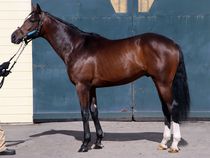 ����å��ǳ��������ɽ�����ޤ�