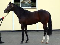 ����å��ǳ��������ɽ�����ޤ�