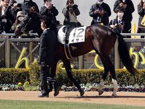 ����å��ǳ��������ɽ�����ޤ�