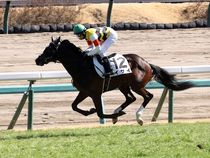 ����å��ǳ��������ɽ�����ޤ�