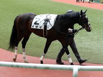 ����å��ǳ��������ɽ�����ޤ�