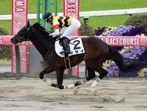 ����å��ǳ��������ɽ�����ޤ�