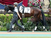 ����å��ǳ��������ɽ�����ޤ�