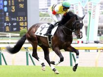 ����å��ǳ��������ɽ�����ޤ�