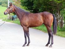 ����å��ǳ��������ɽ�����ޤ�