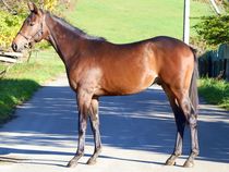 ����å��ǳ��������ɽ�����ޤ�