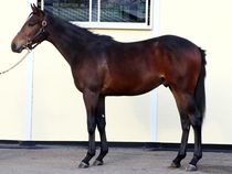 ����å��ǳ��������ɽ�����ޤ�