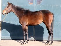 ����å��ǳ��������ɽ�����ޤ�