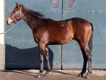 ����å��ǳ��������ɽ�����ޤ�