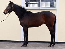 ����å��ǳ��������ɽ�����ޤ�