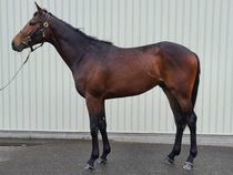 ����å��ǳ��������ɽ�����ޤ�