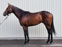 ����å��ǳ��������ɽ�����ޤ�