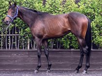 ����å��ǳ��������ɽ�����ޤ�