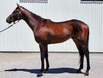 ����å��ǳ��������ɽ�����ޤ�