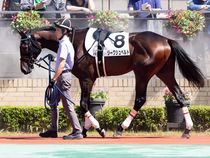 ����å��ǳ��������ɽ�����ޤ�