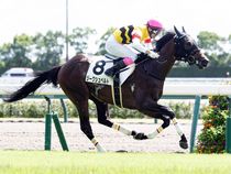 ����å��ǳ��������ɽ�����ޤ�