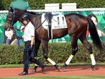 ����å��ǳ��������ɽ�����ޤ�