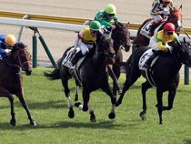 ����å��ǳ��������ɽ�����ޤ�