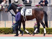 ����å��ǳ��������ɽ�����ޤ�