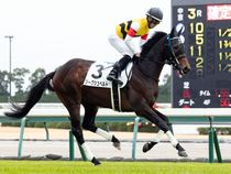 ����å��ǳ��������ɽ�����ޤ�