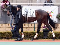 ����å��ǳ��������ɽ�����ޤ�