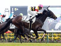 ����å��ǳ��������ɽ�����ޤ�