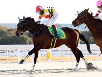 ����å��ǳ��������ɽ�����ޤ�