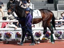 ����å��ǳ��������ɽ�����ޤ�